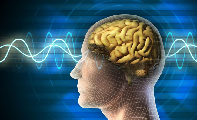 Role Of Anesthesia in the Mechanism of Consciousness